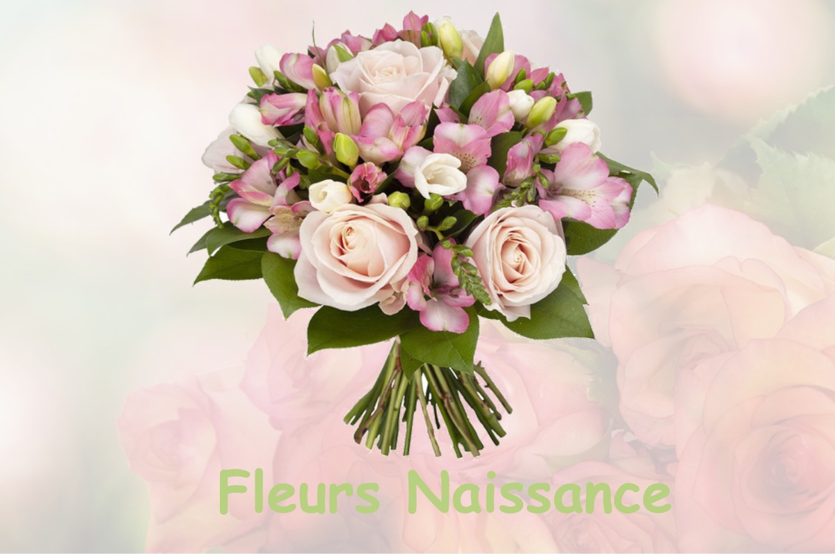 fleurs naissance FRENEY